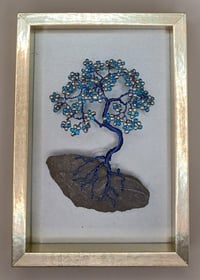 BONSAI PICTURE E9 *** FREE UK POSTAGE ***