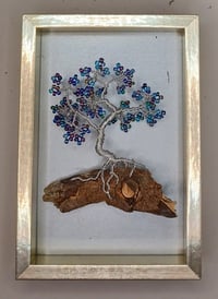 BONSAI PICTURE E11 *** FREE UK POSTAGE ***