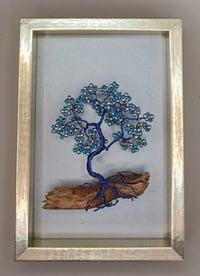 BONSAI PICTURE E13 *** FREE UK POSTAGE ***