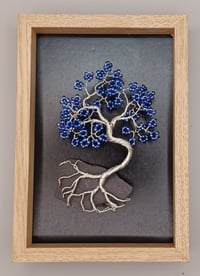 BONSAI PICTURE E17 *** FREE UK POSTAGE ***
