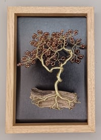 BONSAI PICTURE E20 *** FREE UK POSTAGE ***