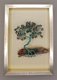 BONSAI PICTURE E21 *** FREE UK POSTAGE ***