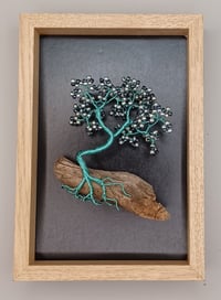 BONSAI PICTURE E28 *** FREE UK POSTAGE ***