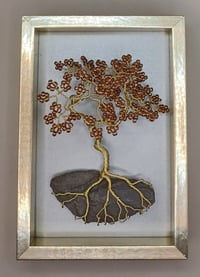 BONSAI PICTURE E5 *** FREE UK POSTAGE ***