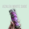 White Sage with a Seasonal Flower