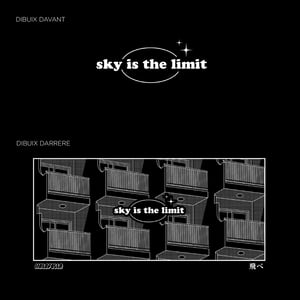 Image of Sky is the limit