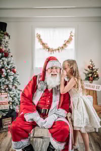Image 3 of 2023 Santa Minis
