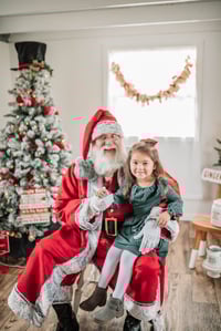 Image 5 of 2023 Santa Minis