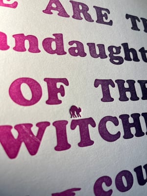 We are the granddaughters of the witches you couldn't burn