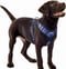 Image of SUPERIOR-DESIGN QUALITY DOG HARNESS