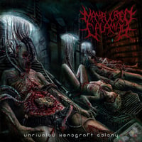 Manipulated calamity-unrivaled xenograft colony cd