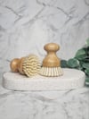 Dish Brush 