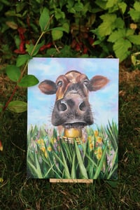 Moo Cow in a Field