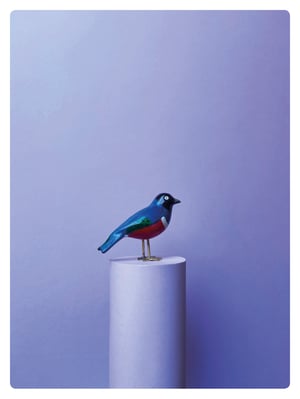 Image of LE SUPERB STARLING / poussin chips