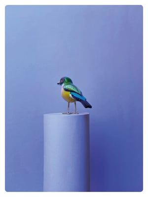 Image of LE DIAMANT DE GOULD / Poussin chips 