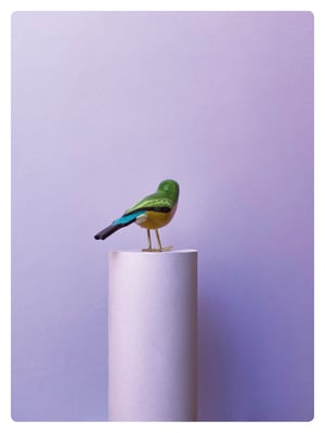 Image of LE DIAMANT DE GOULD / Poussin chips 