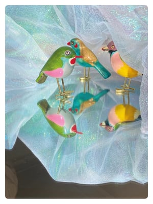 Image of LE TODIER DE CUBA / poussin chips