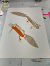 Great Crested Newts Print