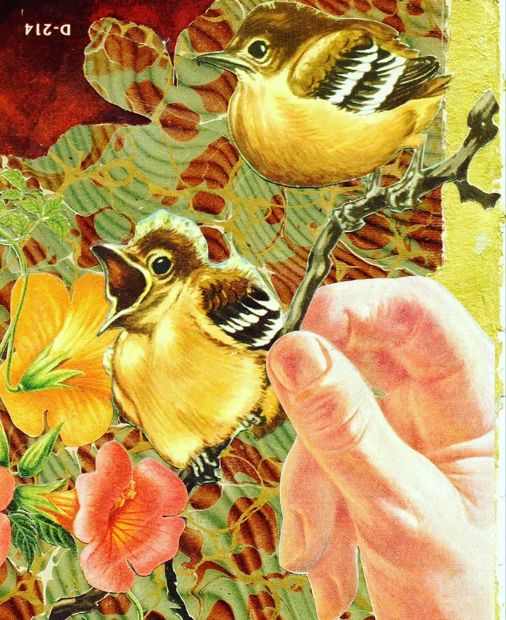 Image of A Bird In The Hand 2