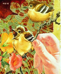 Image 5 of A Bird In The Hand 2