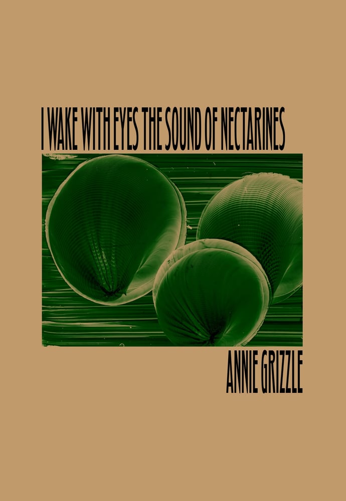 Image of I Wake with Eyes the Sound of Nectarines by Annie Grizzle