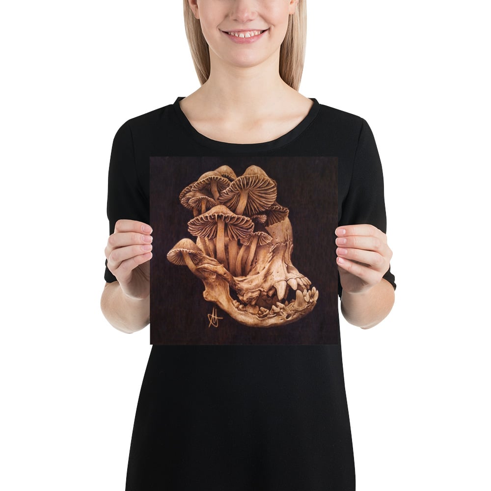 Photo Print: Pug Skull and Mushrooms