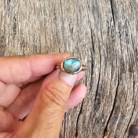 Image 2 of Brass Labradorite, US 7.5