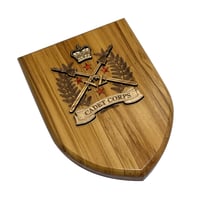 Image 1 of NZCC Presentation Plaque