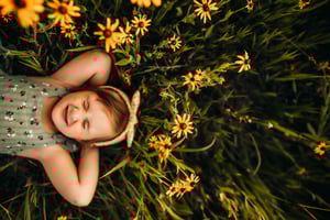 Image of Summer Sunset Minis