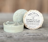 Eucalyptus & Loofah
