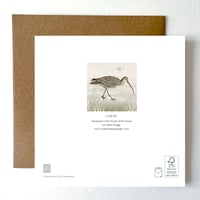 Image 2 of CURLEW GREETING CARD