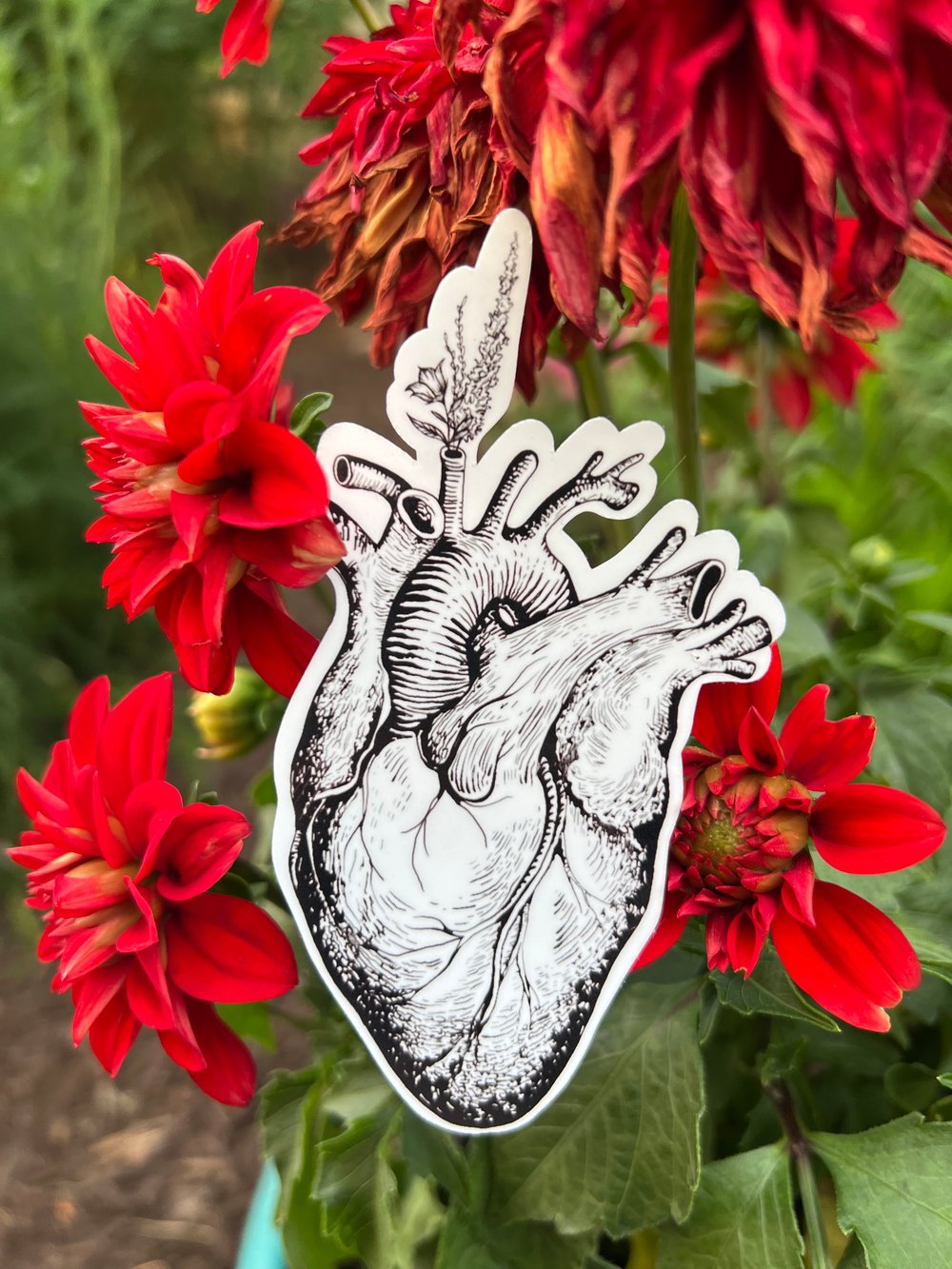 Image of Heart sticker