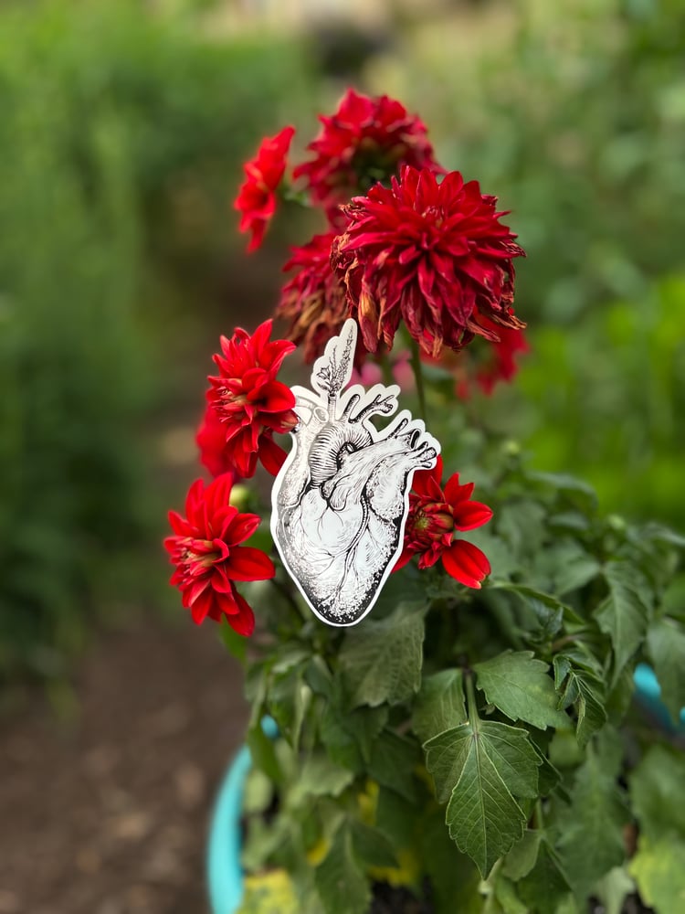 Image of Heart sticker