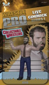 *PRE ORDER* WrestlePro “Live The Gimmick” Series 1 CPA VERY LIMITED