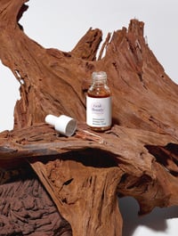 Image 2 of Antioxidant Ginkgo Gel Booster 15ml