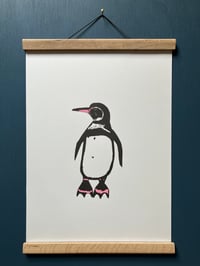 Image 3 of Galapagos Penguin Print