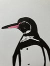 Galapagos Penguin Print