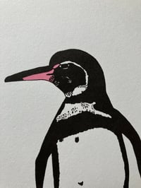 Image 4 of Galapagos Penguin Print