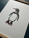 Galapagos Penguin Print