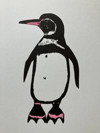 Image 2 of Galapagos Penguin Print