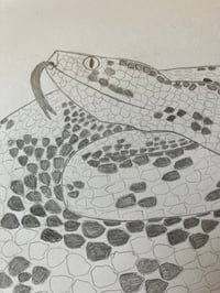 Image 4 of Adder Print