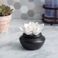 Image 1 of flower diffuser