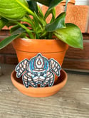 Peacock Spider Patch - 3.5 Inch Wide Iron on Back
