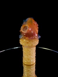 Image 1 of psycadelic swirl 10mm rig