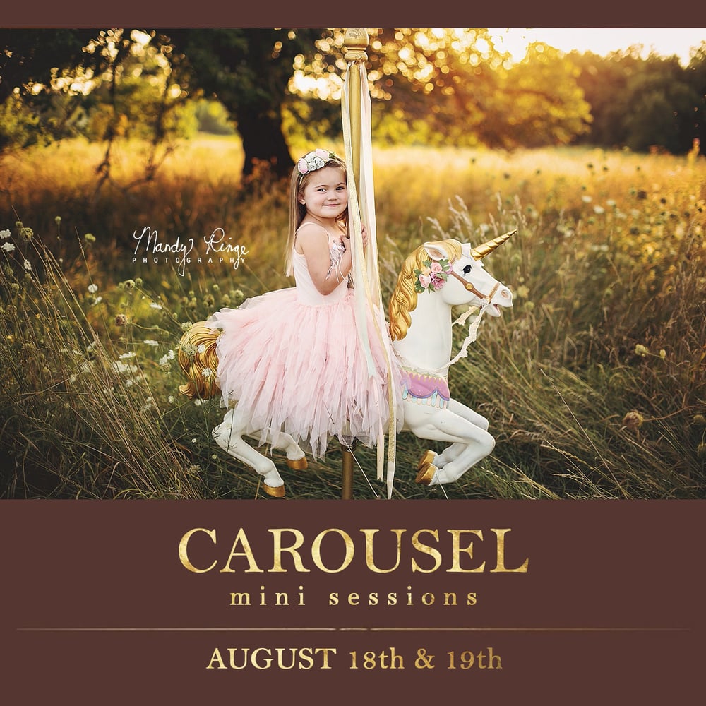 Image of Carousel Mini Sessions - August 18th & 19th