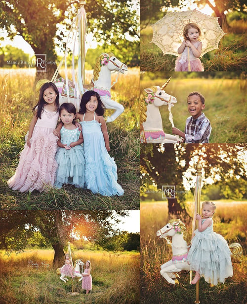 Image of Carousel Mini Sessions - August 18th & 19th