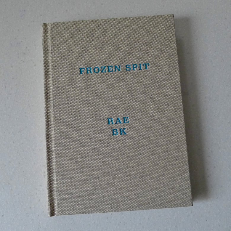 Image of FROZEN SPIT • BOOK 