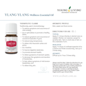 Complementary Medicine Ylang Ylang Wellness Essential Oil 15ml