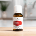 Complementary Medicine Tea Tree Wellness Essential Oil 15ml