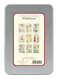 Image 2 of Cavallini & Co. Wildflowers Vintage Style Postcard Set